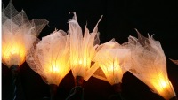 White Lily Liladee Flower Leaf - LONG lead 10 Metres 100 lights fairy party lights